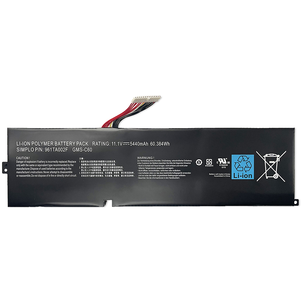 Gigabyte-GMS-C60-60.384Wh.jpg